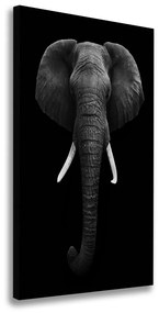 Vászonkép Afrikai elefánt ocv-49228540