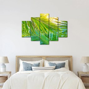 Kép - Pálmalevelek (150x105 cm)