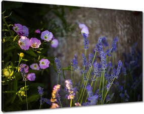 Vászonkép 100x70 Levendula