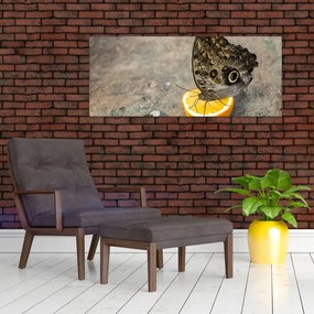 Pillangó képe (120x50 cm)