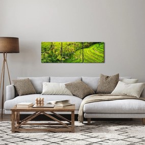 Kép - Rizs teraszok (órával) (90x30 cm)