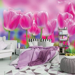 Fotótapéta - Tulipán (152,5x104 cm)