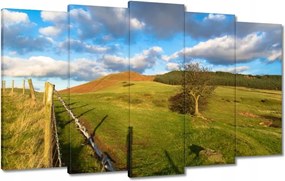 Festmények 100x60 Tájkép réttel