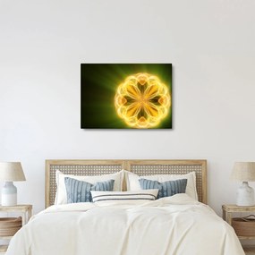 Sárga virág képe (70x50 cm)