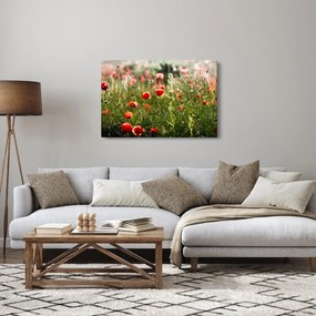 Pipacsok képe (90x60 cm)
