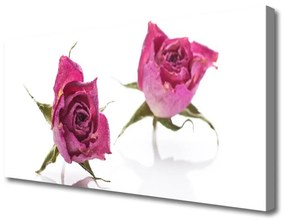 Vászonkép Rózsa virágok Plant 100x50 cm
