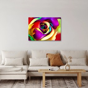 Kép - Színes rózsa (70x50 cm)
