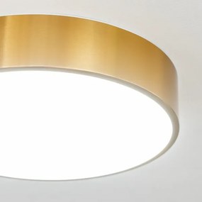Brilagi - LED fürdőszobai mennyezeti lámpatest POOL LED/24W/230V átm. 30 cm IP54 bronz