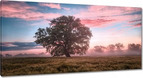 Vászonkép 115x55 Candy tájkép Köd