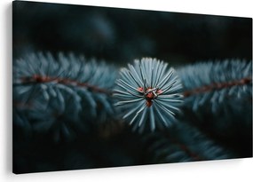 Egy tűlevelű fa gallyának képe (90x60 cm)