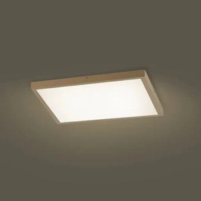 Brilagi - dimmelhető LED fürdőszobai világítótest FRAME SMART LED/50W/230V 60x60 IP44 + távirányító