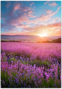 Poszterek 70x100 Nyugaton változatlan