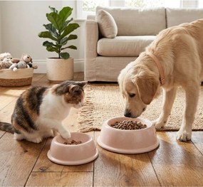 Agyagkerámia tálka kisállatoknak ø 21 cm – Casafina