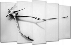 Vászonkép 100x60 Tenger Gyökér a tengerparton