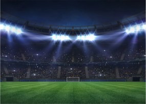 Üveg kép - Labdarúgó stadion (70x50 cm)