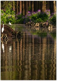 Poszterek 70x100 Tájkép Látvány