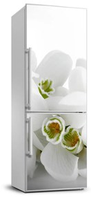 Matrica hűtőre Fehér hóvirág FridgeStick-70x190-f-61615324
