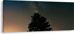 Egy éjszakai égbolt fákkal képe (120x50 cm)
