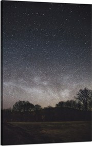 Vászonkép Kozmosz Csillagos égbolt 50x80