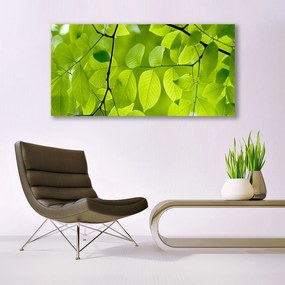 Vászonkép falra Elhagyja Plant 140x70 cm