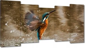 Vászonkép 150x80 Vízivó madár Madár