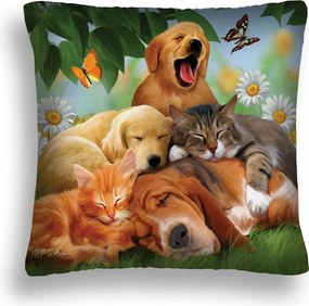 Kutya Párna 21 Cica Szieszta Szerelem Pl 50X50