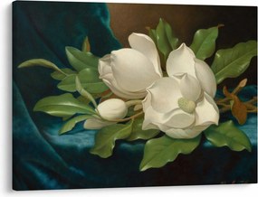 Kép - Martin Johnson Heade, Giant Magnolias on a Blue Velvet Cloth, reprodukciók (70x50 cm)