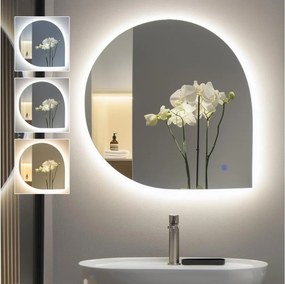 Brilagi - LED fürdőszobai tükör RICADI LED/19W/230V 60x60 cm IP44 CRI 90 dimmelhető+CCT