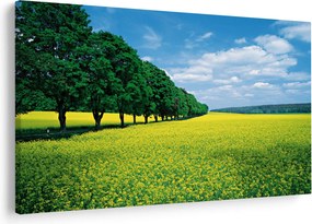 A mező képe egy sikátorral (90x60 cm)