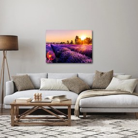 A levendula mező képe, Provence (70x50 cm)