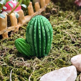 Tündérkert mini kaktusz 3,5 cm