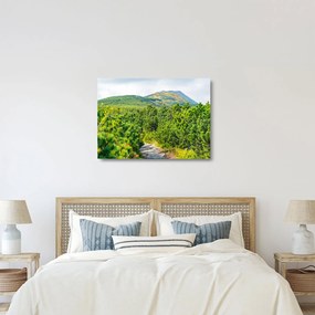 Kép - Babi Hora, Lengyelország (üvegen) (70x50 cm)