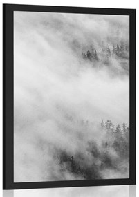 Poszter fekete fehér erdő ködben