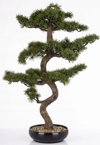 Növény zöld dekoráció fekete cserépben művirág bonsai fa