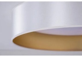 Duolla - LED Mennyezeti lámpa ROLLER LED/24W/230V átm. 45 cm ezüst/arany