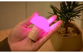 Natúr színű kőrisfa LED dimmelhető asztali lámpa (magasság 7 cm) Alice – Gingko