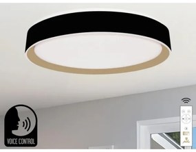 LED Dimmelhető mennyezeti lámpa hangvezérléssel OPAL LED/48W/230V + távirányító