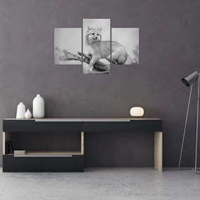 Kép - Szürke róka (90x60 cm)