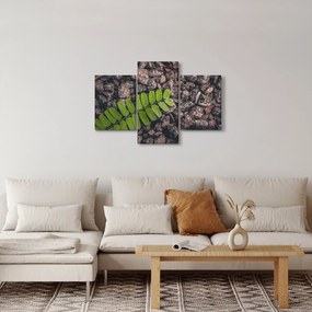 Zöld növények képe (90x60 cm)