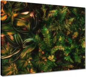 Vászonkép 50x40 Trópusi levelek Levelek
