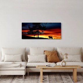 Kép - Farkas sziluettje (120x50 cm)