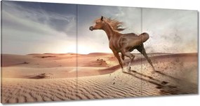 Vászonkép 180x90 Ló Lovak Lovaglás
