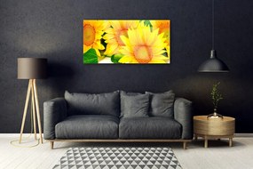 Üvegkép falra Napraforgó virág természet 100x50 cm