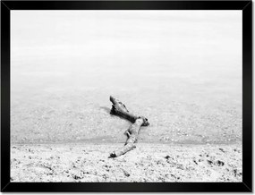 Poszter keretben 40x30 Gyökér tengerpart Gyökér víz