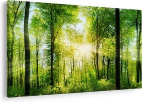 Kép - Hajnal az erdőben (90x60 cm)