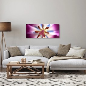 Kép - Tulipán virág részletesen (120x50 cm)
