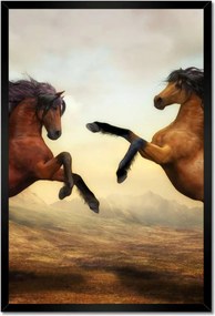 Poszterek keretben 40x60 Lovak paripák