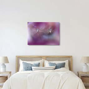 A cseppek képe a bolyhon (üvegen) (70x50 cm)