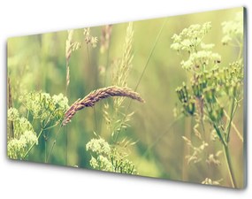 Üvegkép Wild Plants Természet 120x60cm 2 fogas