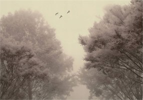 Fotótapéta Erdő Vintage Retro Hálószoba Nappali Tapéta Flizelina 400x280